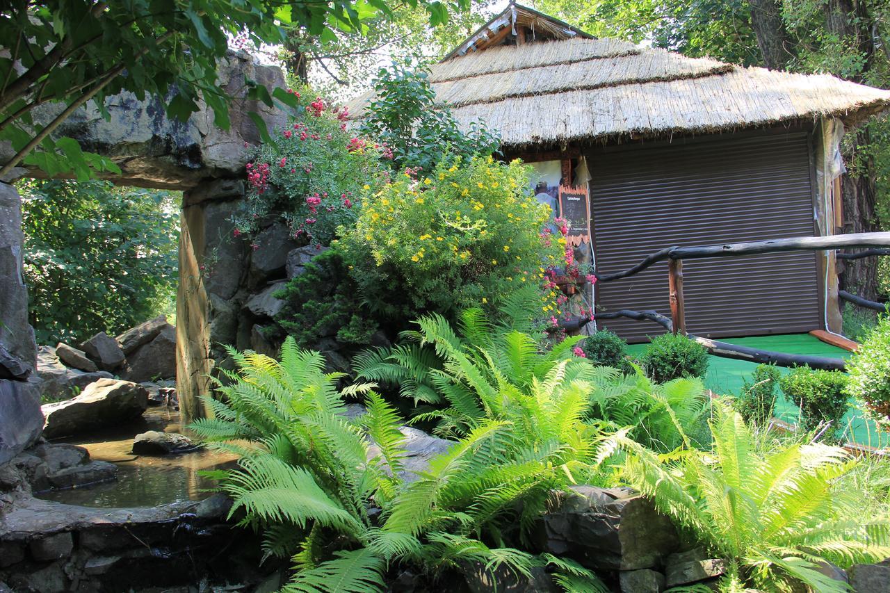 Kozatskiy Dvir Strîi Exterior foto